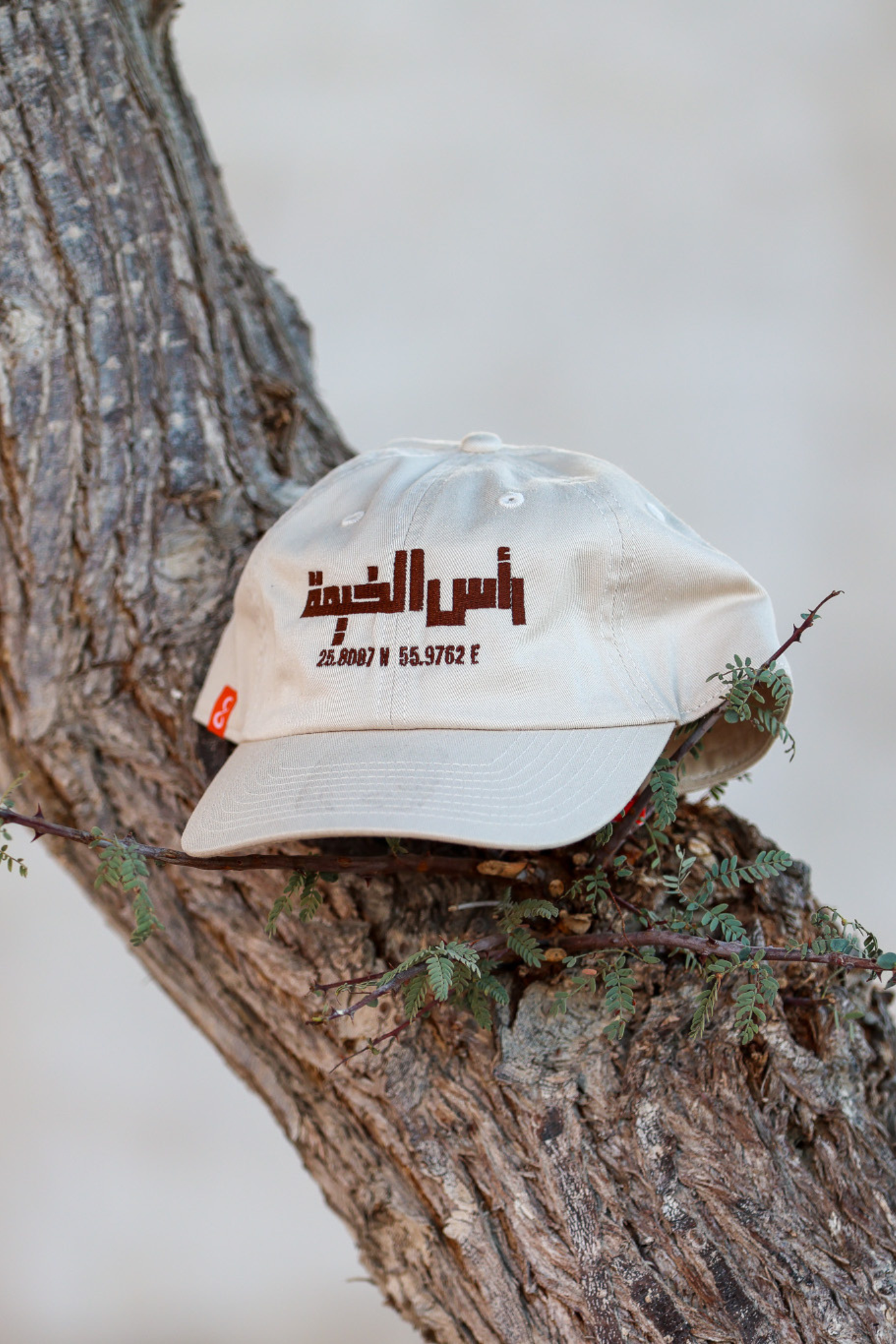 Coordinates Cap